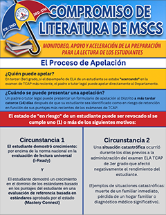 Literacy Commitment Appeal Grounds